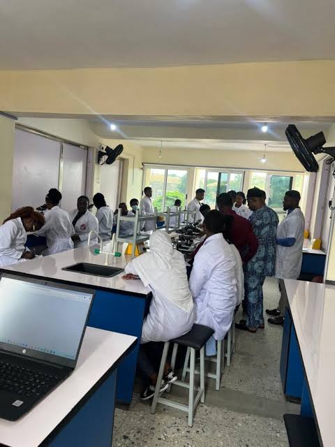 Hillside University of Science and Technology